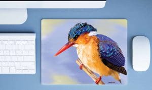 Kingfisher - Image 2