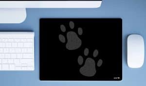 Paws - Image 2