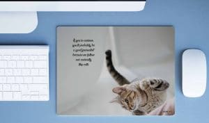 Curious Cat - Image 2