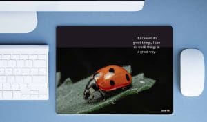 Lady Bug - Image 2