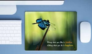 Dragon Fly - Image 2